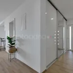 Luxurious Apartments Lara&Luka
